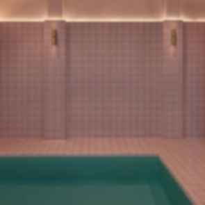Animal Hospital - Hydrotherapy Room