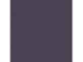 Blackberry: PPG1172-7