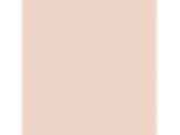 Blush Beige: PPG1070-2
