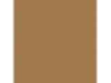 Caramelized Pecan: PPG1089-7