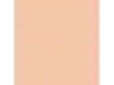 Citrus Sachet: PPG1198-3