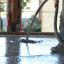Commercial Topping®
