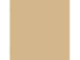 Craftsman Gold: PPG1092-4