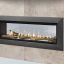 Direct Vent Gas Fireplace - Echelon II See-Through
