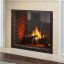 Direct Vent Gas Fireplace - Marquis II See-Through