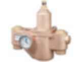 Emergency Fixtures and Valves EFX125-S19-2300