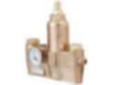 Emergency Fixtures and Valves EFX60-S19-2200