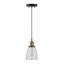 Fiorentino Factory Pendant Lamp with Clear Glass Shade
