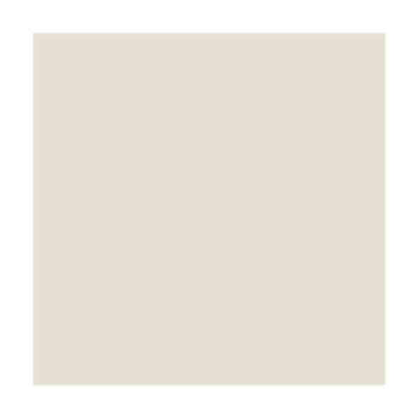 Focus: PPG1008-1