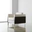 Genevieve Lounge Chair