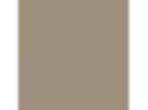 Oyster Shell: PPG14-13