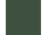 Pine Forest: PPG1134-7