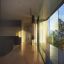 Self-Cleaning Glass