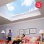 SkyMax Large Span Skylights