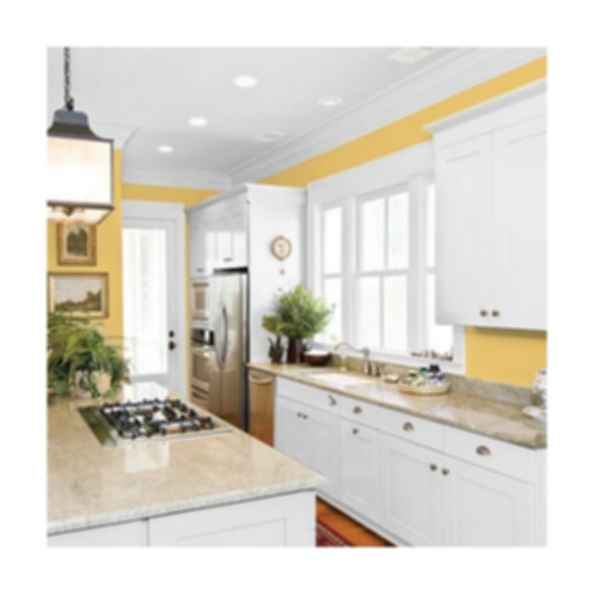 Turner's Yellow: PPG1106-4