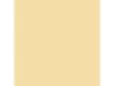Visionary: PPG1210-3