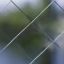 WireLite® NT Wired Glass Fire-rated Glazing