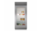36" Classic Refrigerator with Glass Door BI-36RG/S