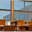 Commercial Solar Screen Shades