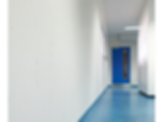Polyflor Wall cladding floor-to-wall surface library BIM contents