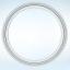 Primed Fixed Full Round Window