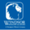 Windsor Windows & Doors Modlar Brand